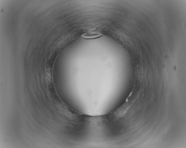X0000073440085200608111336