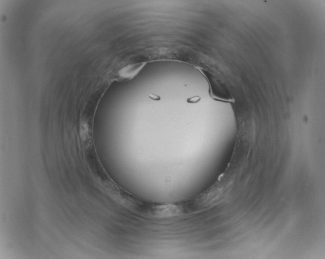 X0000073440087200608111336
