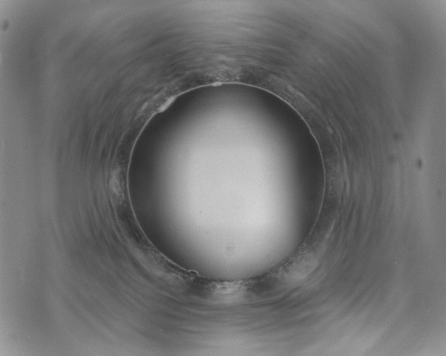 X0000073440088200608111336