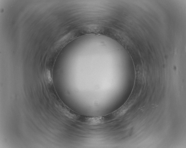 X0000073440089200608111336