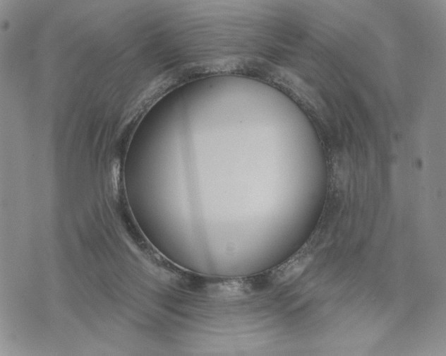X0000073440118200608111335
