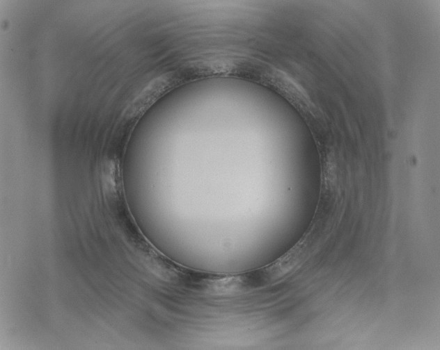 X0000073440122200608111335