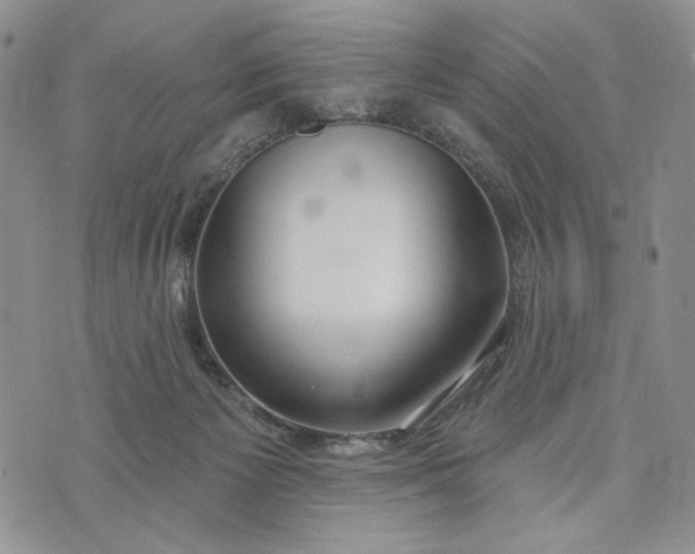 X0000073440125200608111335