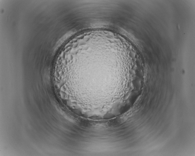 X0000073440155200608111334