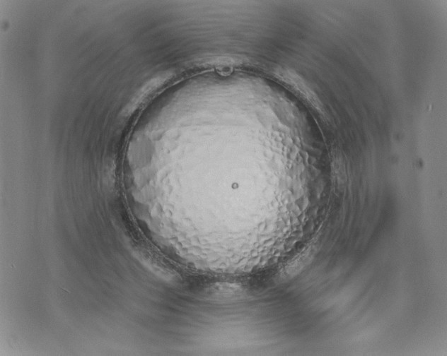 X0000073440159200608111334