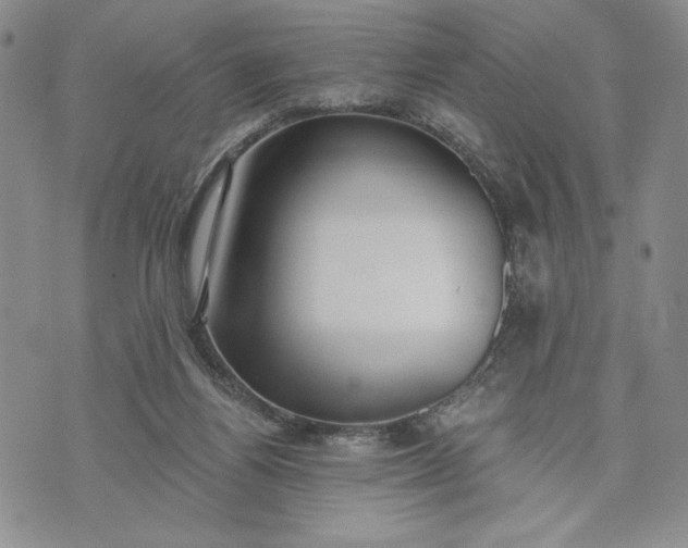 X0000073440164200608111334