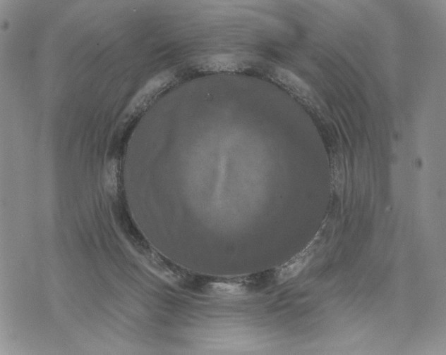 X0000073440167200608111334