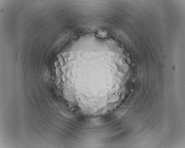 X0000073440173200608111334