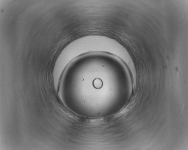 X0000073440188200608111334