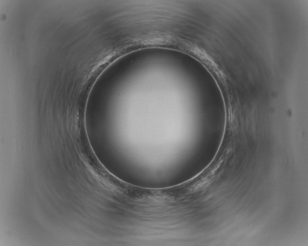X0000073440201200608111333