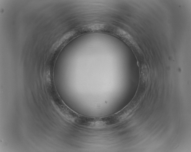 X0000073440212200608111333