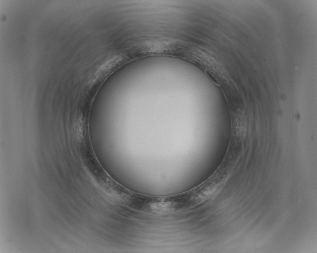 X0000073440216200608111333