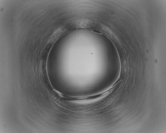 X0000073440217200608111333
