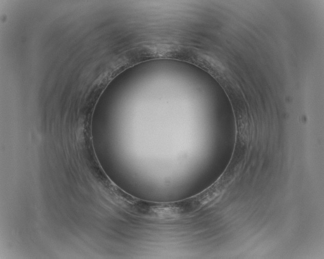 X0000073440221200608111333