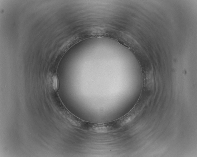 X0000073440228200608111333