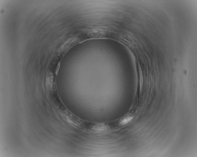 X0000073440231200608111333