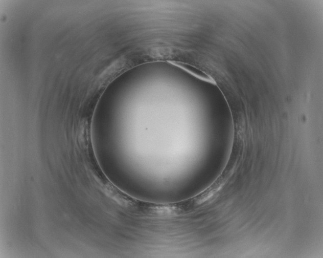 X0000073440233200608111333