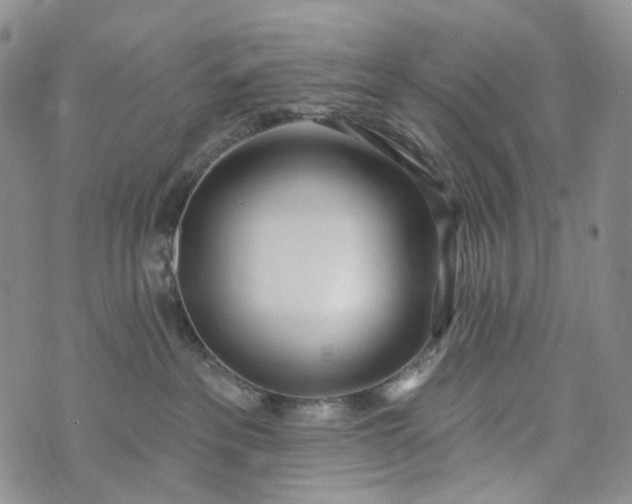 X0000073440237200608111333