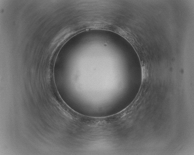 X0000073440243200608111332
