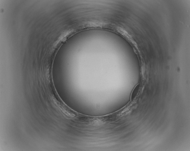 X0000073440249200608111332
