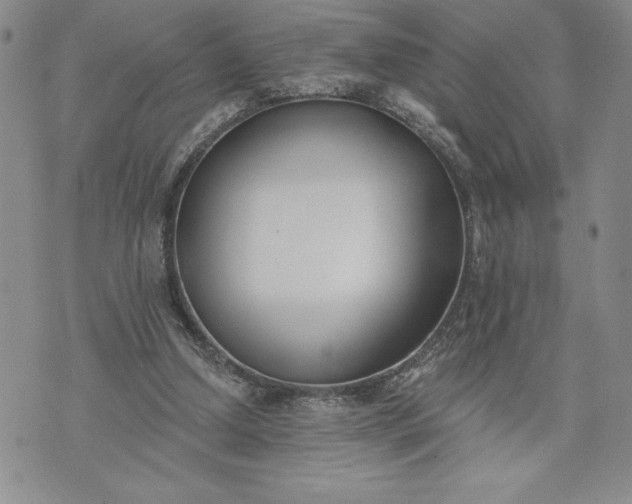 X0000073440250200608111332