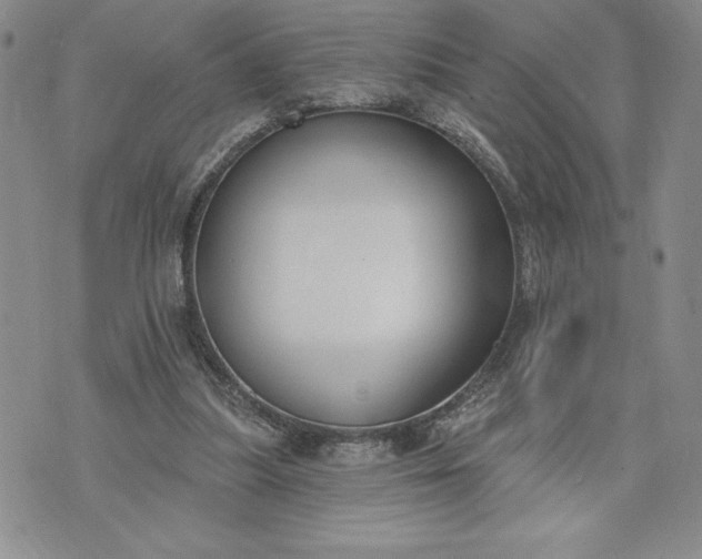 X0000073440251200608111332