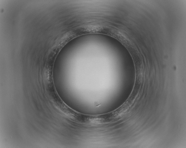 X0000073440268200608111333