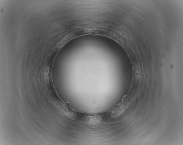 X0000073440275200608111333