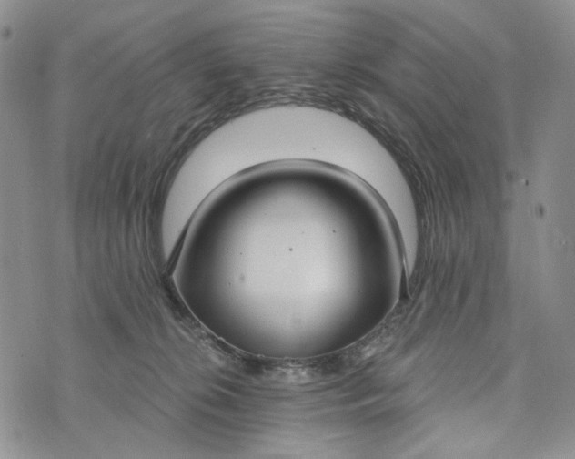 X0000073440276200608111333