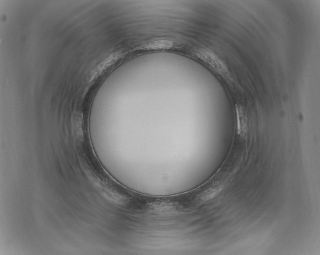 X0000073440300200608111332