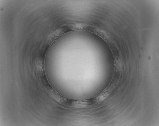 X0000073440331200608111331