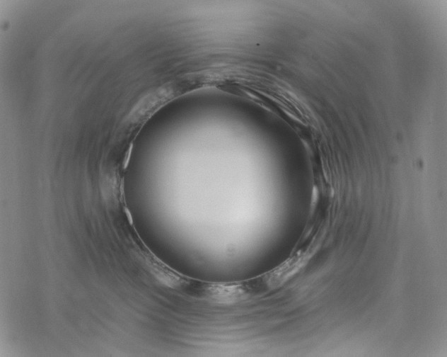 X0000073440333200608111331
