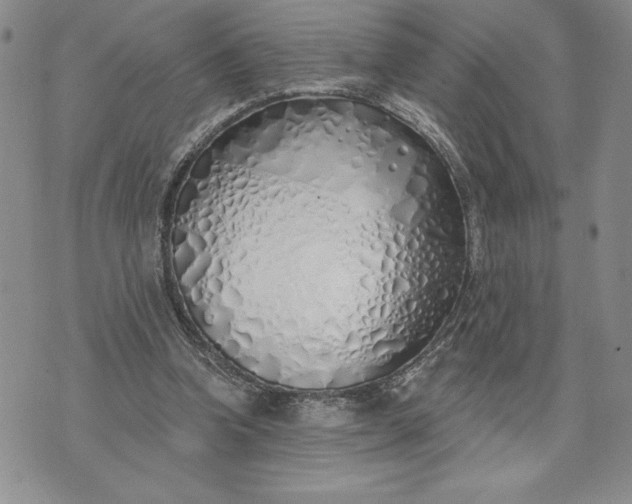 X0000073440346200608111331