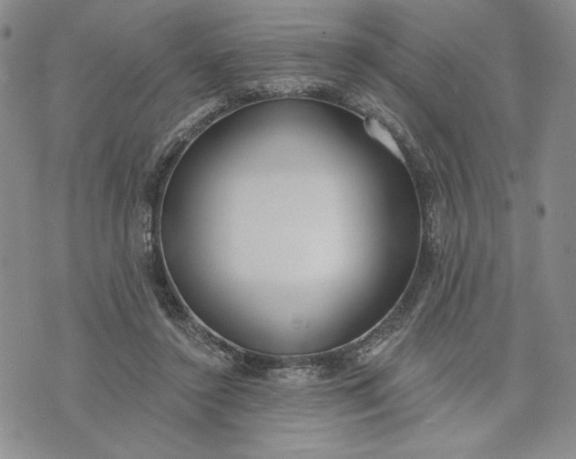 X0000073440356200608111331