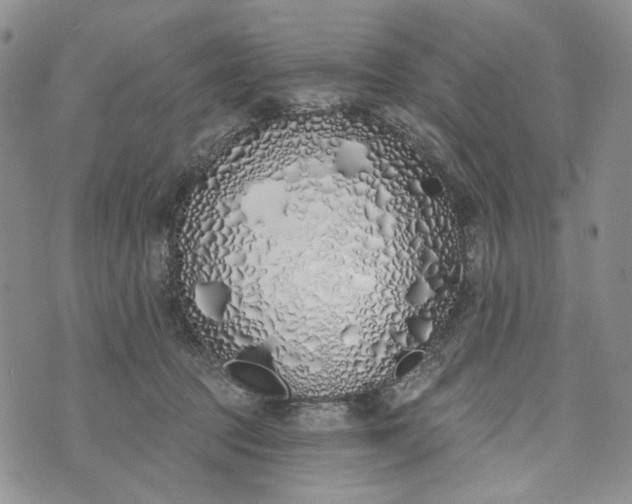 X0000073440369200608111331