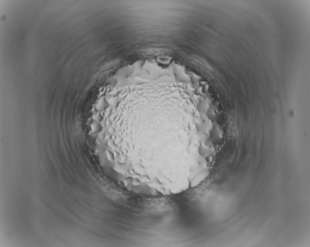 X0000073440377200608111331