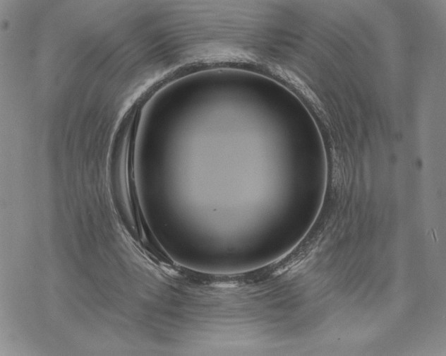X0000073440391200608111330