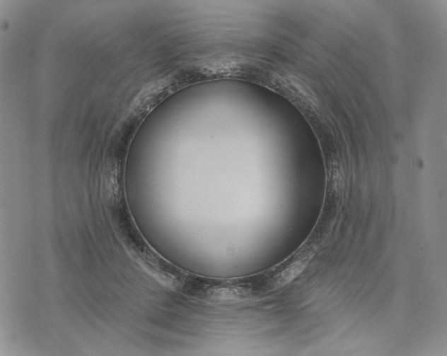 X0000073440408200608111330
