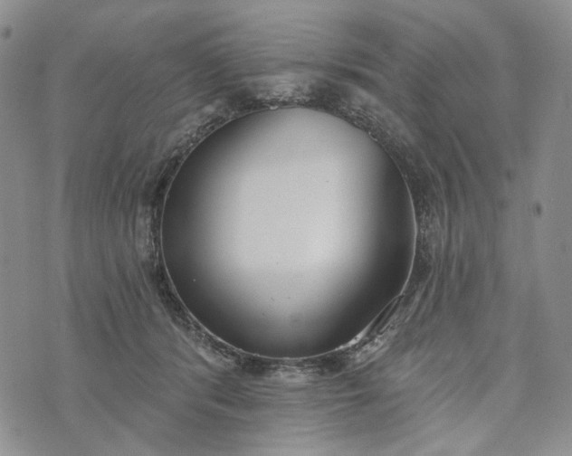 X0000073440416200608111330
