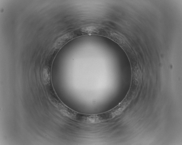 X0000073440420200608111330