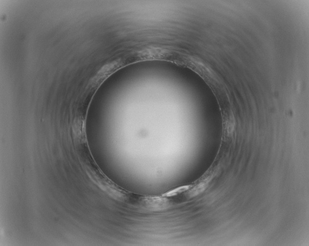 X0000073440429200608111330
