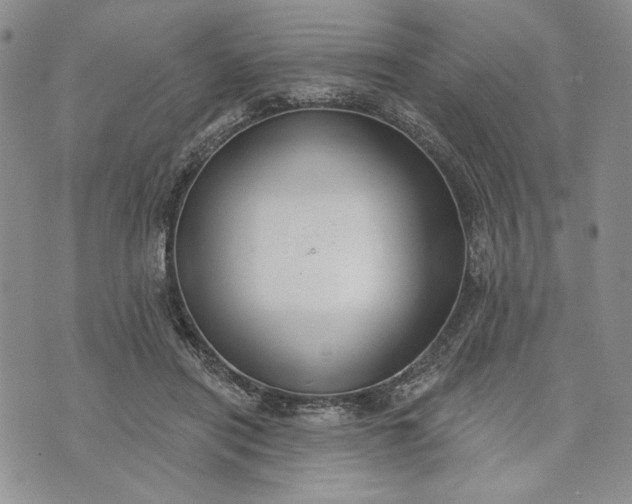 X0000073440454200608111329