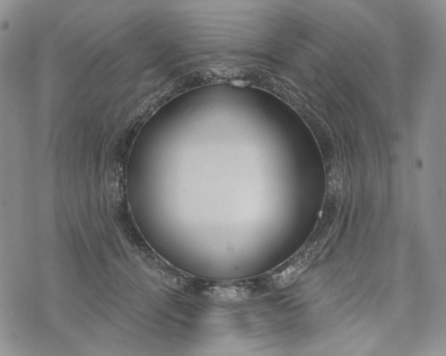 X0000073440464200608111329