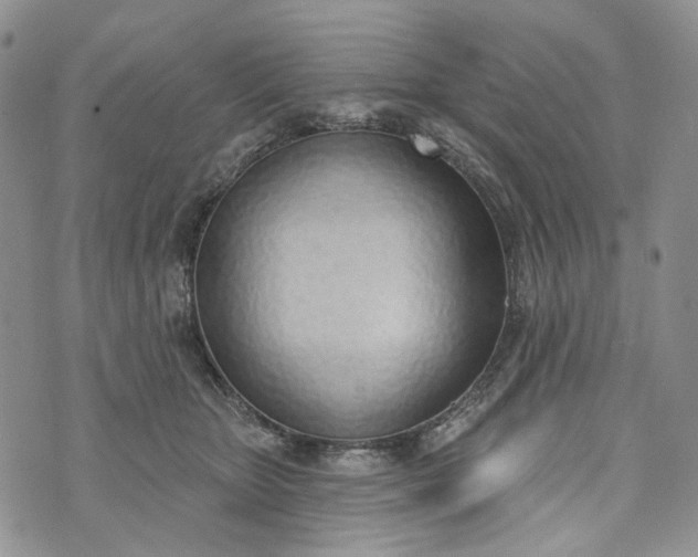 X0000073440467200608111330