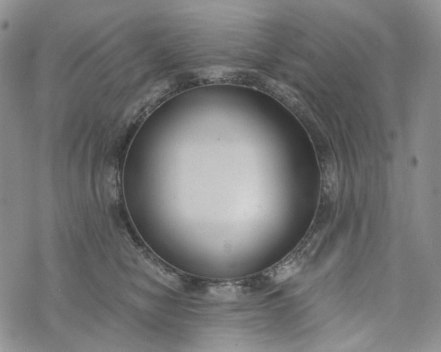 X0000073440470200608111330