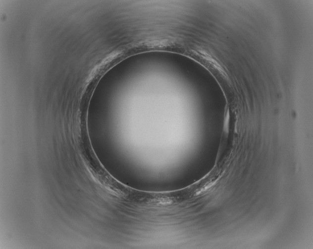 X0000073440492200608111329