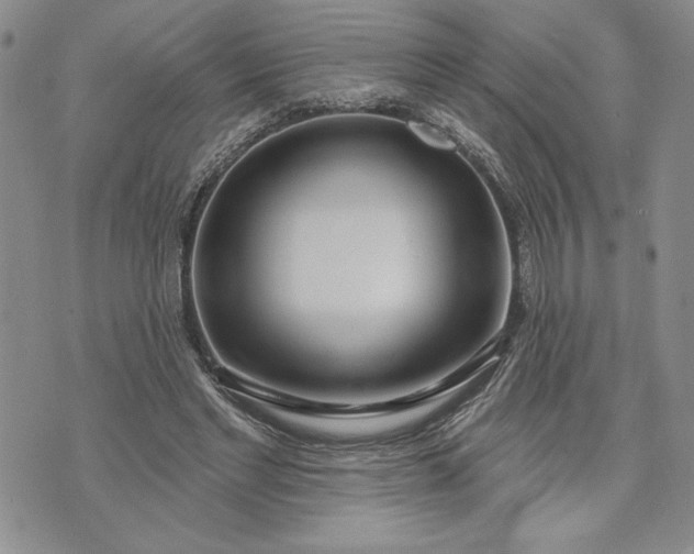 X0000073440493200608111329