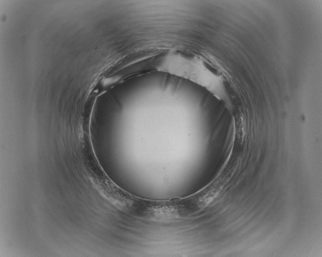 X0000073440500200608111329