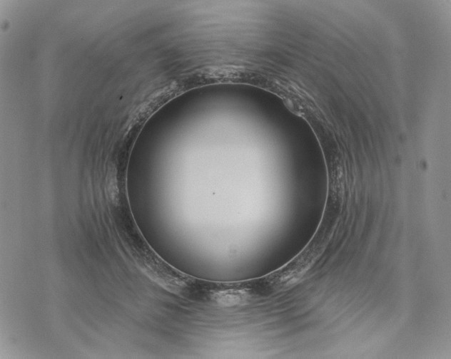 X0000073440508200608111328