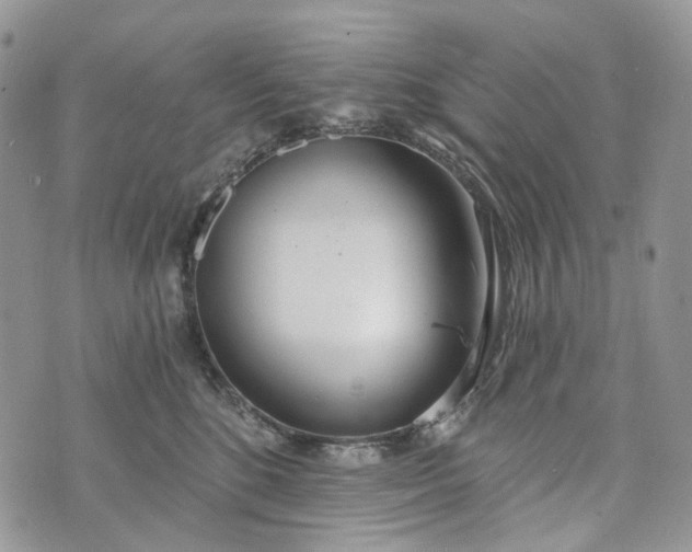 X0000073440520200608111328